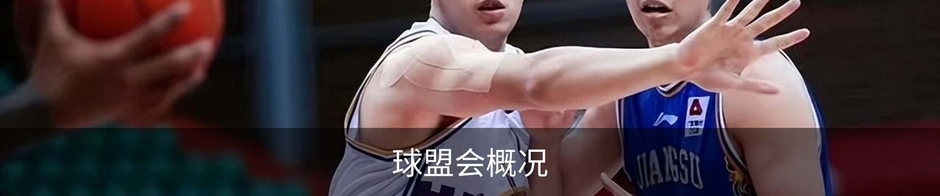 球盟会概况
